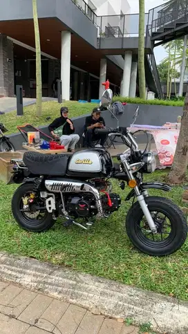 gazgas gorilla monkey 2019