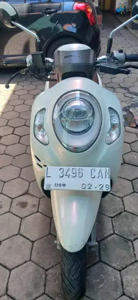 Honda Scopy 2024