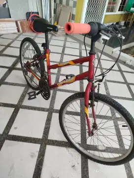 Sepeda Polygon bagus