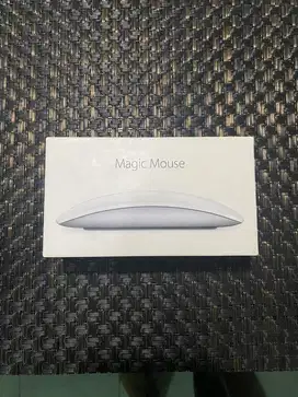 Magic Mouse 2 (Ibox)