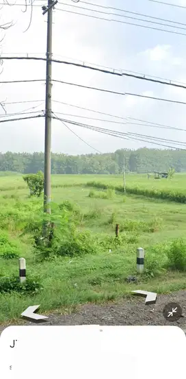 Lahan industri 7 HA harga 900 ribu permeter 11 km dari Pintu tol Ngawi