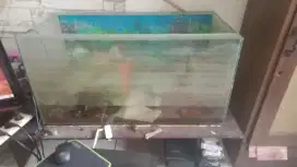Aquarium ukuran lumayan lengkap