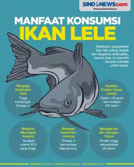 Lele konsumsi full pelet murah Surabaya
