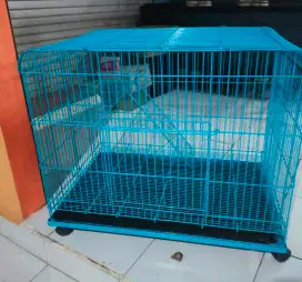 Kandang ukuran super jumbo
