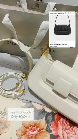 Charles & Keith bag (preloved)