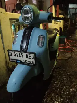 Fazzio 2023 biru