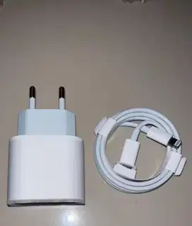 Charger Iphone 20 watt Type C ORI Copotan