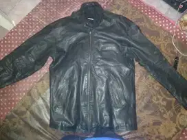 Jaket kulit domba asli