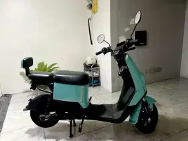 Jual Selis Viar C2