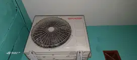 Ac sharp 1/2 pk