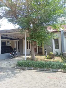 Rumah murah lt123 dalam cluster elite grand Sharon
