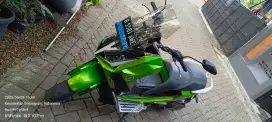 Alva Cervo Green Nebula (2023)