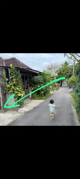 Dijual tanah 2 are bonus bangunan kost di akasia denpasar dkt kampus