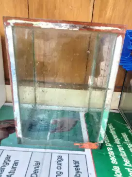 Aquarium bekas ikan