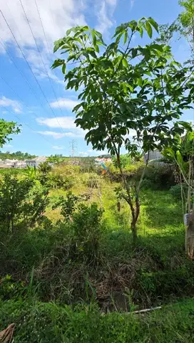 Dijual Tanah Kavling di Sumbersekar, Kec. Dau Malang