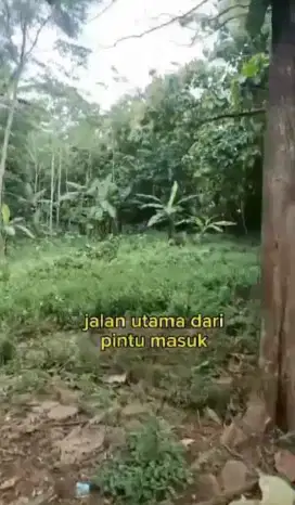 Dijual Tanah 2 HA SHM di Kaloran Temanggung – Harga 350rb/m² Saja!