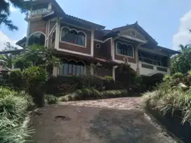 Villa Komersil Puncak Bogor