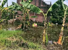 DIJUAL TANAH LOKASI JAPANAN