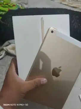 Ipad mini 4. 128. Wifi cellular