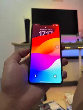 Xs Max dual sim fisik 256