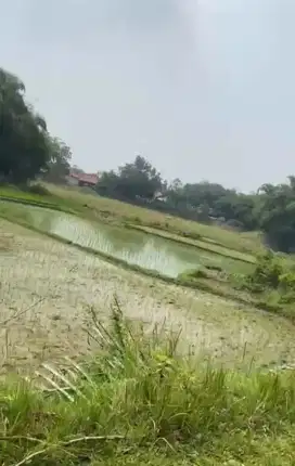 Dijual Tanah Kavling di Cikarang