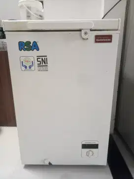 Freezer RSA 100L