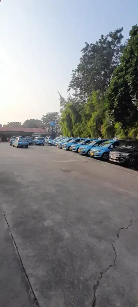 Lowongan Supur Taksi blue bird pool halim jakarta timur