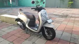 Honda allnew scoopy 2024 keyless putih doff