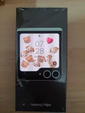 Samsung Z Flip 6