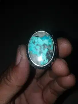 Pirus persia badar perak