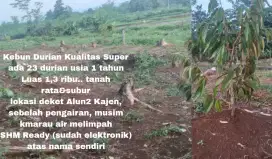Jual tanah murah