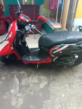 Motor scoopy 2023