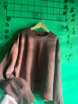 Atasanwanita coklat