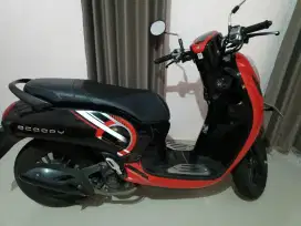 Scoopy 2024 N panjen