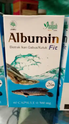 Albumin fit (kapsul ikan Gabus)