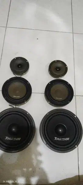 Speaker thunderpro 6inch