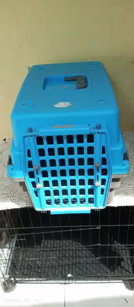 Pet cargo jumbo