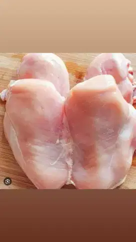 Ayam fillet 38 ribu perkilo