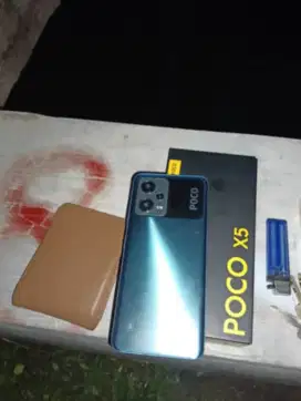 Poco X5 5G 8/256
