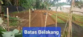 Tanah Kebun 500 mtr. Cocok untuk Vila
