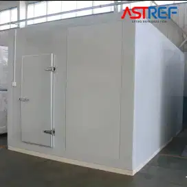 cold  storage 4 ton