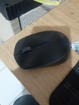Mouse logitech M171