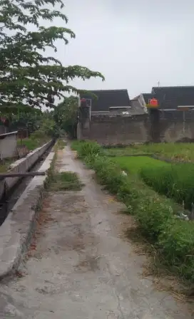 Tanah murah shm pekarangan di ngipik