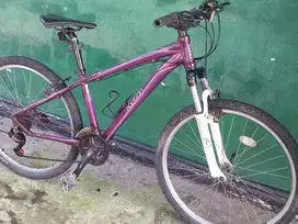 Sepeda Gunung Polygon Cleo 1.0