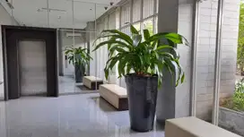Apartemen 1 lantai Private Lift Sendiri Di Kemang, Jakarta Selatan