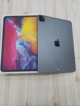 Ipad Pro 2020 11in 128 Gb Wifi Only Second ibox