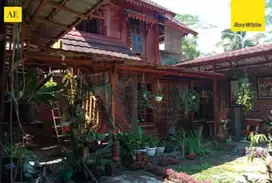 Dijual rumah cantik + kebun kopi temanggung jateng
