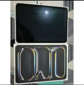 Ipad Pro M4 256GB Space Grey (Inter)