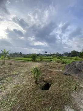Free hold tanah ubud jalan cinta