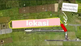 DIJUAL TANAH 50 ARE SHM DEKAT PANTAI KEDUNGU